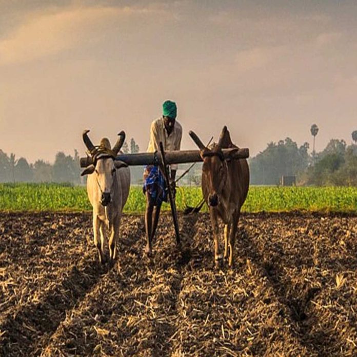 Farmer