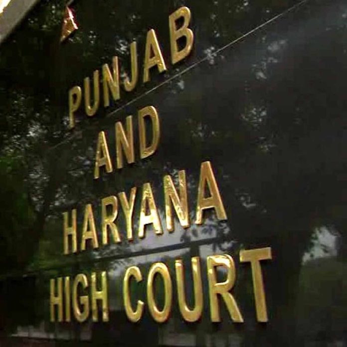 punjab and haryana high court